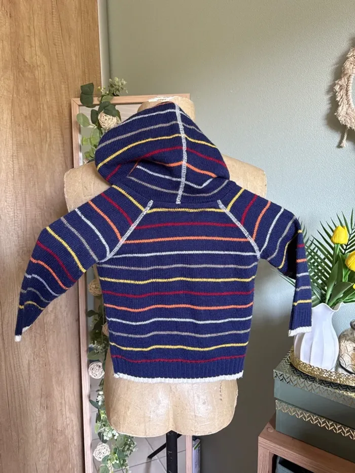Joli gilet à capuche bébé 9 mois - photo numéro 3