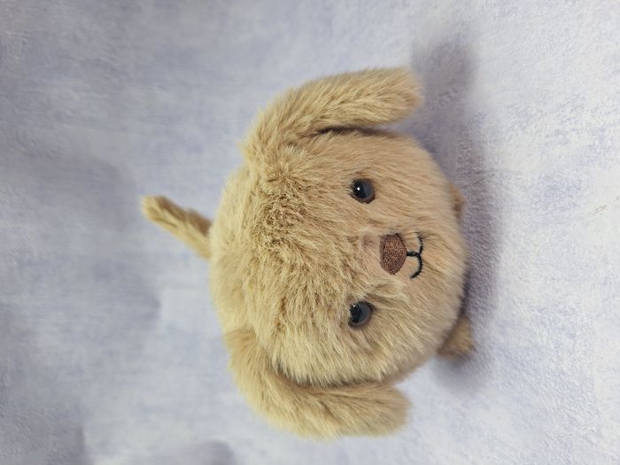 Peluche Jellycat chiot retired Caboodle Puppy CAB3PP - photo numéro 2