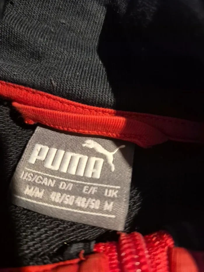 veste de survetement - photo numéro 2