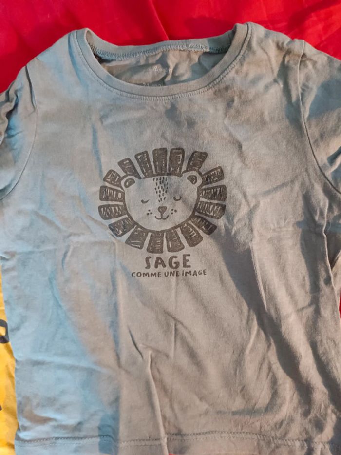 3 tshirt 18mois garçon - photo numéro 4