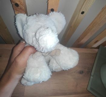 Elephant blanc doudou et compagnie 