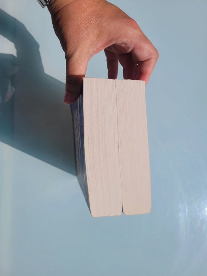 2 romans enfants grand format Le Club de l'ours Polaire tomes 1 et 2 (48) - photo numéro 9