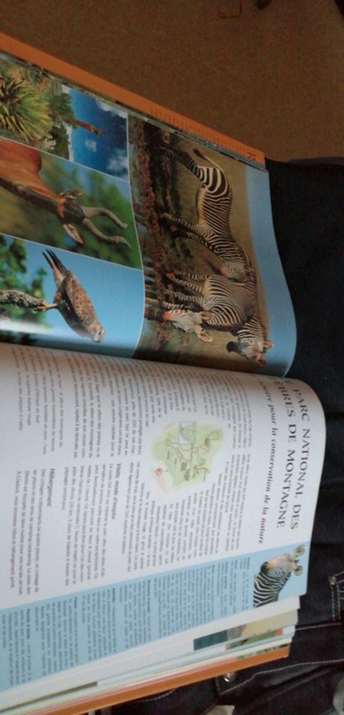 Livre l'Afrique australe - photo numéro 4