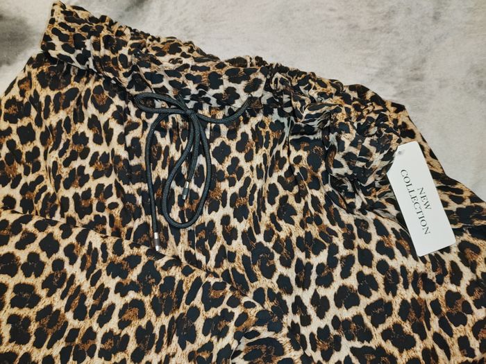 palazzo léopard - photo numéro 2