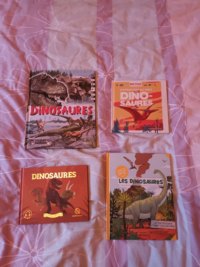 Lot de 4 livres sur les dinosaures