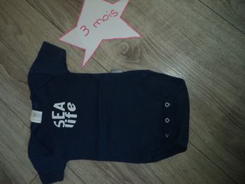 Body mc 3 mois sea life