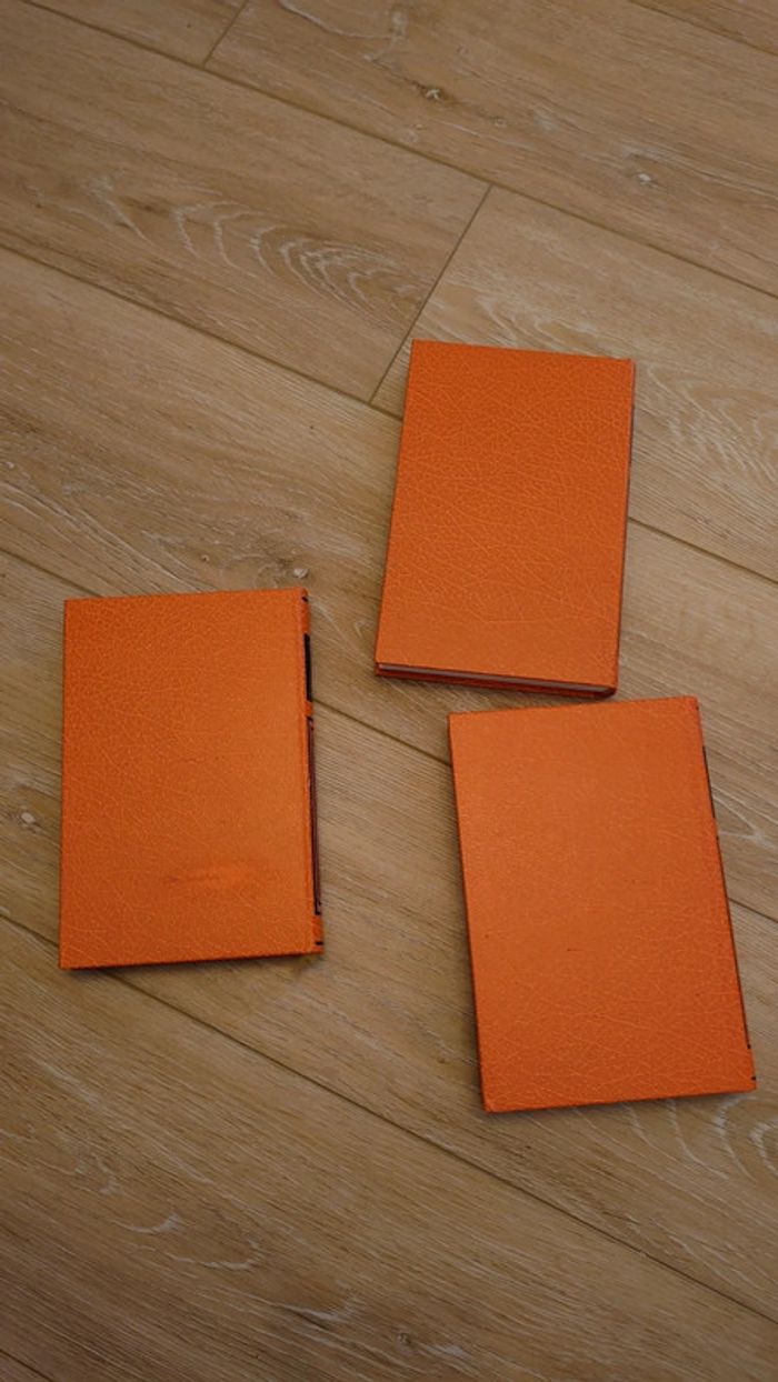 3 livres editions famot. Heureux  + L'os à moelle + Sens dessus dessous - photo numéro 4