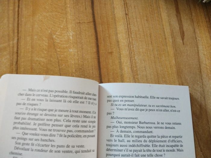 La mort en tête - Cédric Sire - photo numéro 7