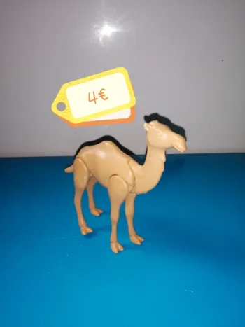 thème* animaux / chameau