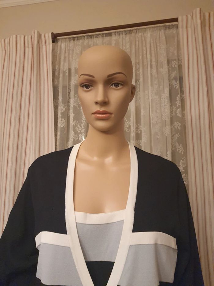 Blouse/ Pull Mayerline taille 2L 44 - photo numéro 3