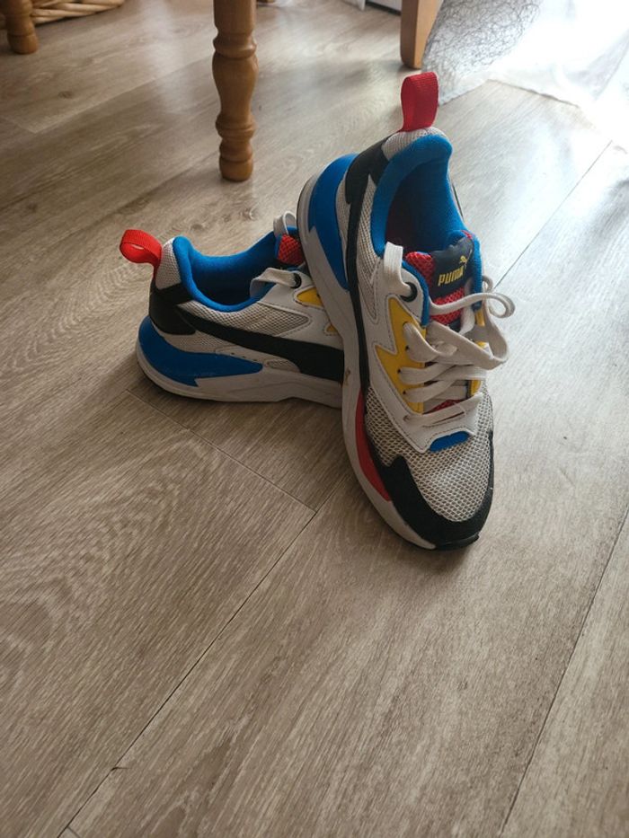 Basket X Ray lite