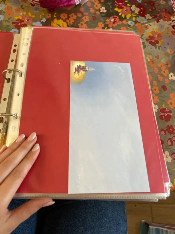 Feuille enveloppe dilld - photo numéro 2