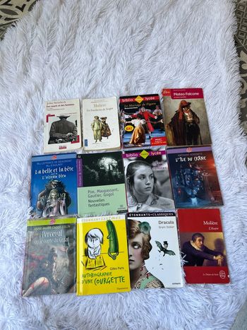 Livre au choix, littérature classique pour collège ou lycée