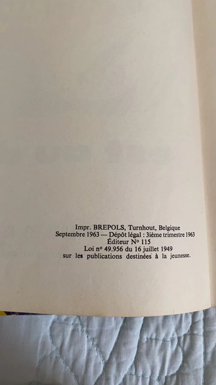 Michel VaillantLe 13 est au départ - photo numéro 2