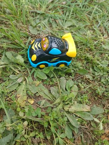 Tut tut bolide
