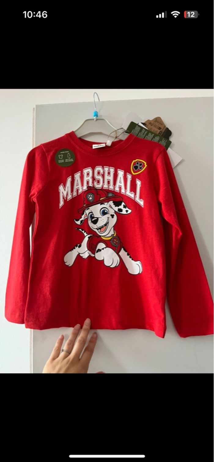 Lots pat patrouille - photo numéro 2