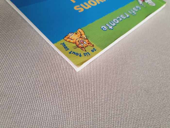 Livre enfant (Gafi raconte) - photo numéro 9