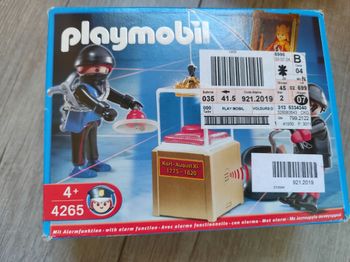 Voleurs d'antiquité playmobil