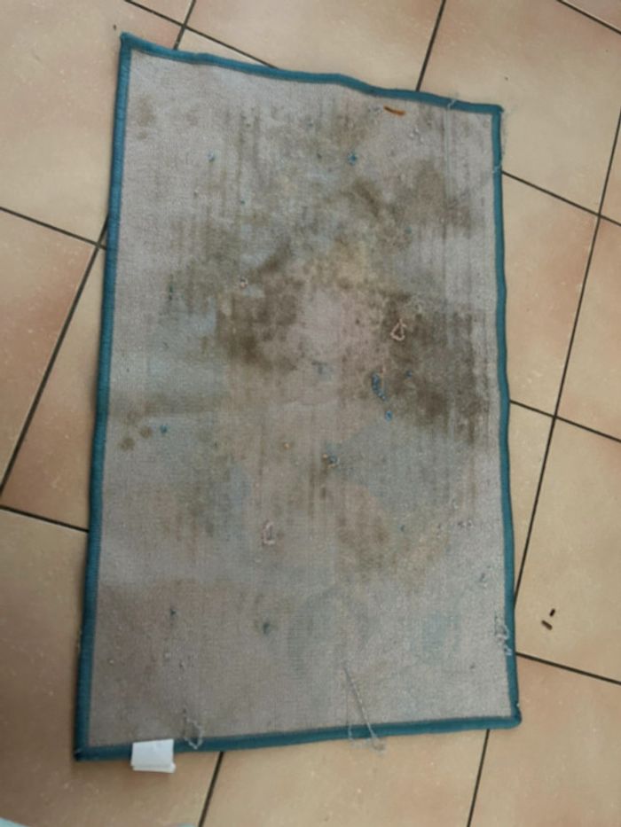 Donne tapis reine des neiges - photo numéro 5