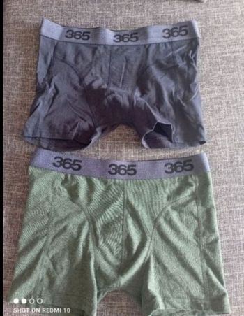 Boxer