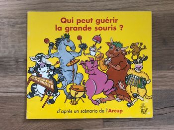 Livre jeunesse Qui peut guérir la grande souris?