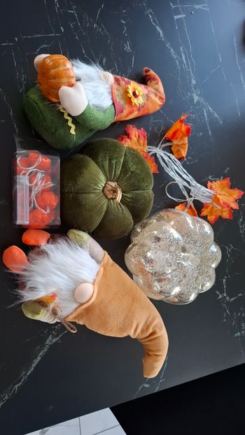 Lot déco décoration automne citrouille guirlande gnome
