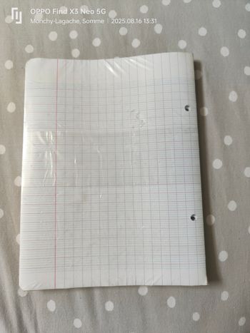 200 feuilles simples seyès 90g petit format carrefour Réduction jusqu'à -70%