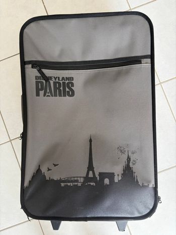 Valise Disneyland Paris 35x62x19 cm bon état 