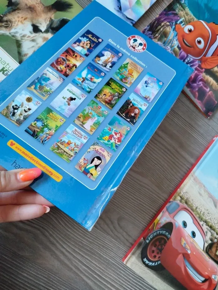 Lot livre Disney - photo numéro 3