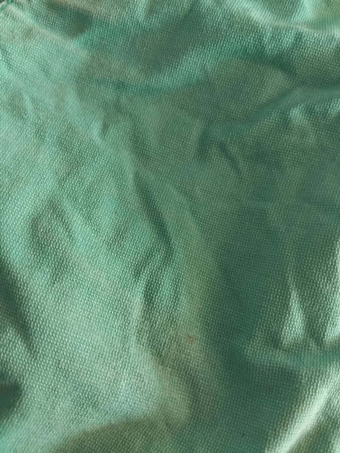 Bermuda sergent major - photo numéro 5