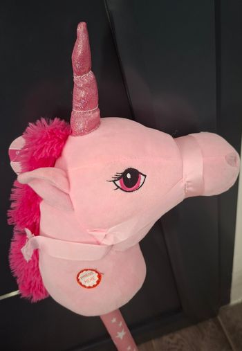 Cheval à chevaucher avec son