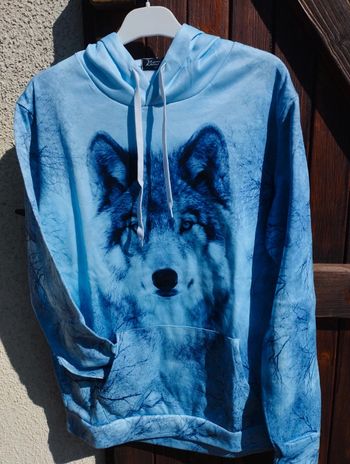 Sweat capuche