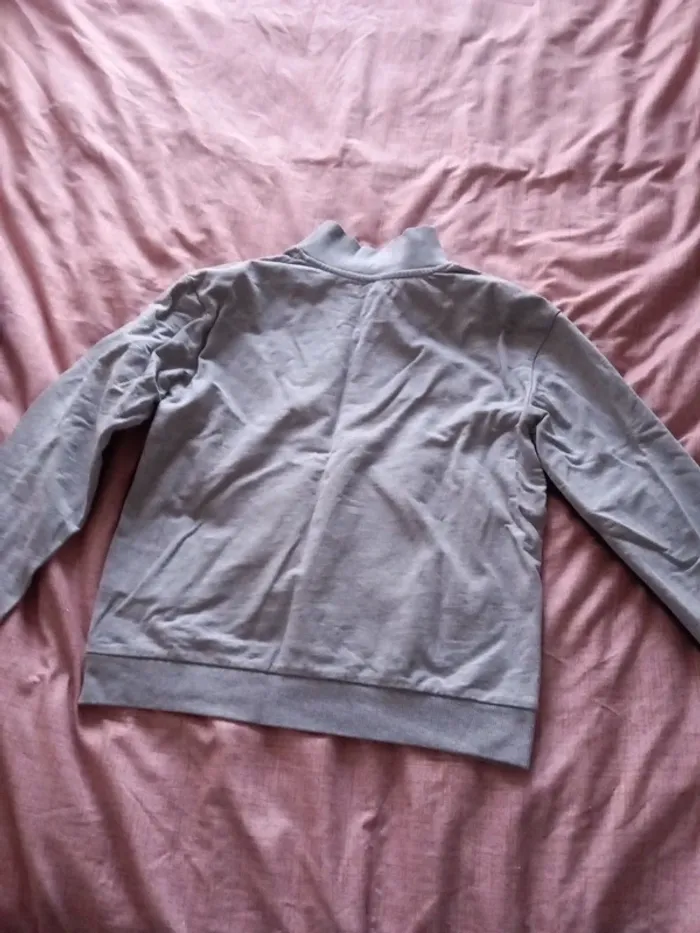 Pull gemo 12 ans - photo numéro 4