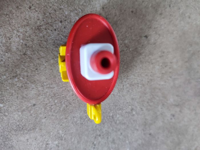 Dany dog - photo numéro 5