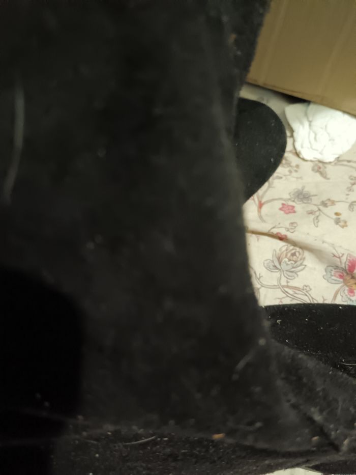 Bottes en velours noir taille 40 - photo numéro 8