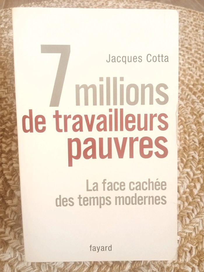 7 Millions de travailleurs pauvres - photo numéro 3