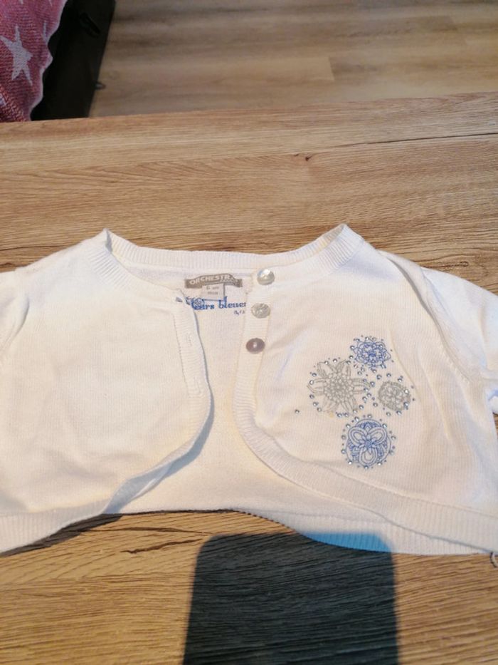 Boléro Orchestra - photo numéro 2