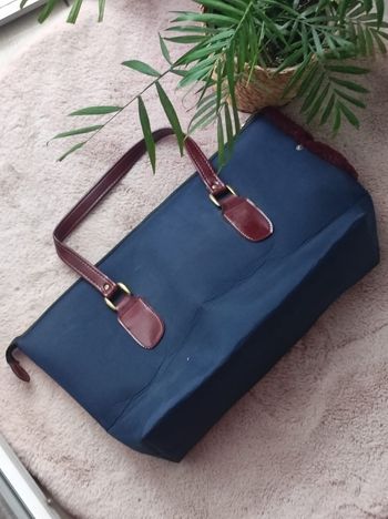 Sac transport pour chien