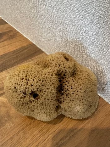 Éponge naturelle de mer