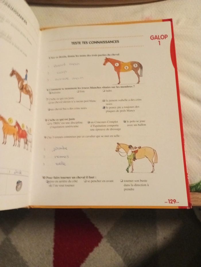 Livres galops 1 à 4/ galops 5 et 6/ Galops 1 à 4 questions réponses - photo numéro 6