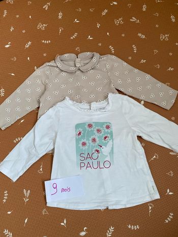 Lot tee-shirts 9 mois