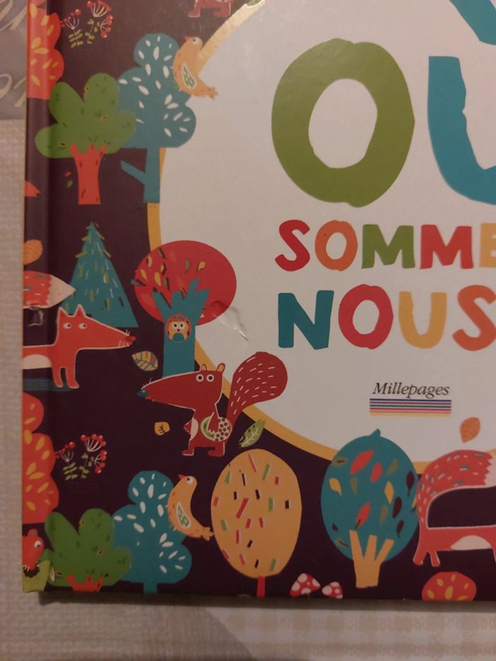 Livre cherche et trouve Où sommes nous ? - photo numéro 4