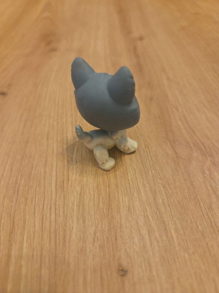 Pet shop - photo numéro 3