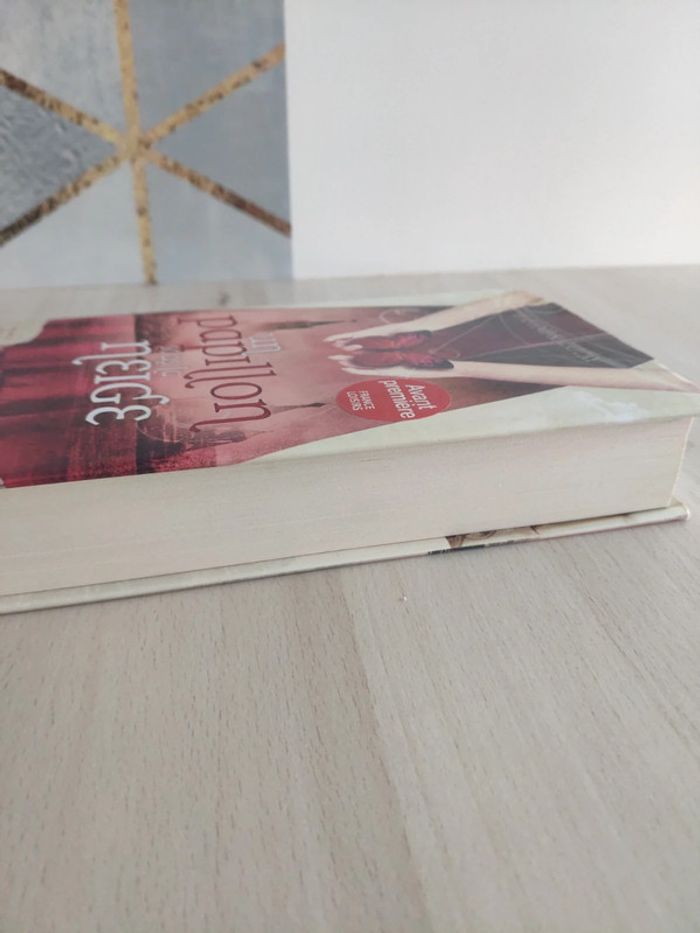 Livre grand format Un papillon sous la neige Kalotay - photo numéro 4