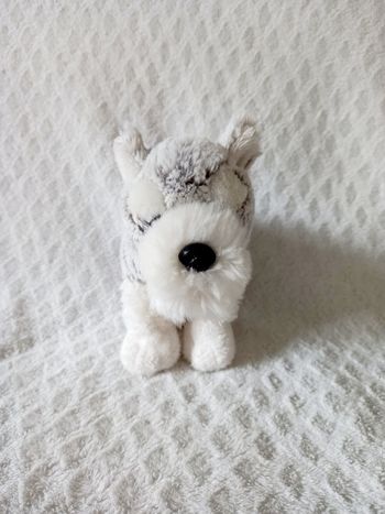 Doudou chien Nicotoy 