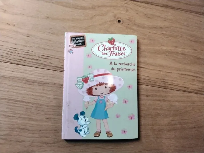 6 Livres Charlotte aux Fraises. - photo numéro 7