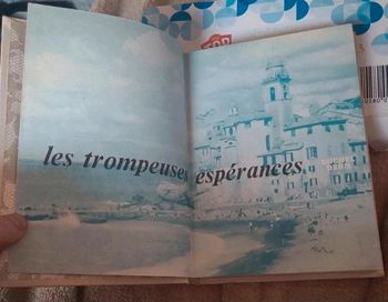 Les trompeuses espérances