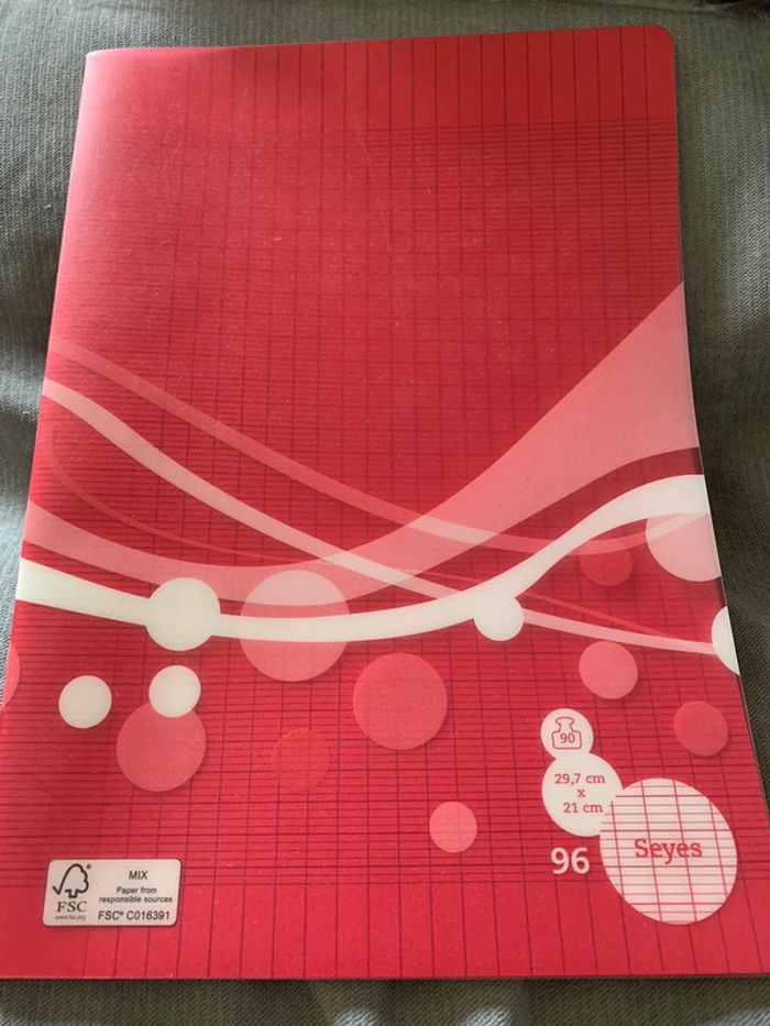 Cahier 21*29,7cm