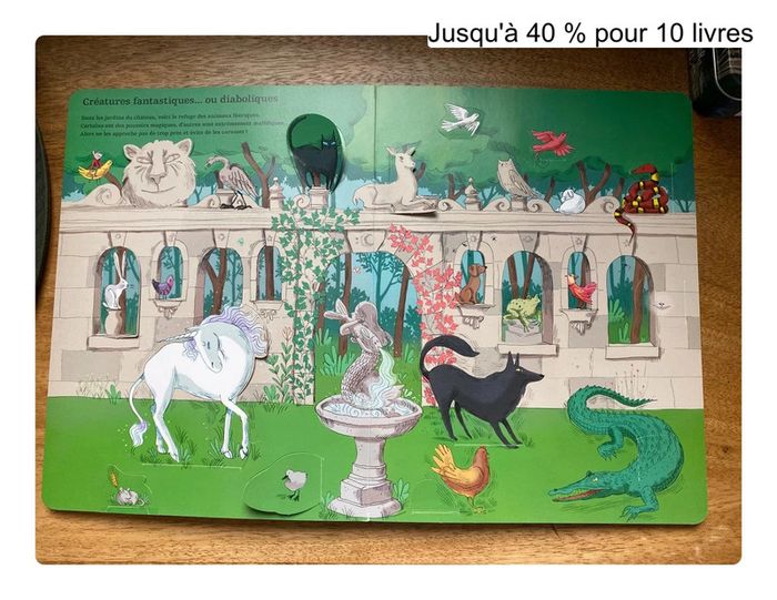 Livre contes et magie - photo numéro 18