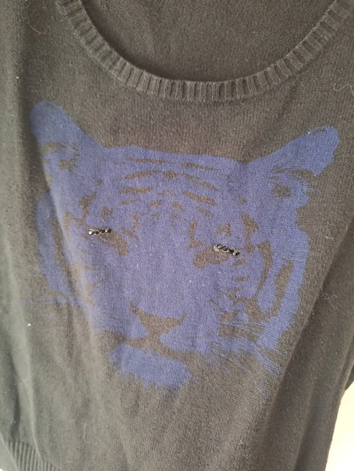 Pull tigre - photo numéro 2